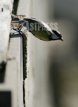 EA014574, Eastpress, Porvoo, Suomi